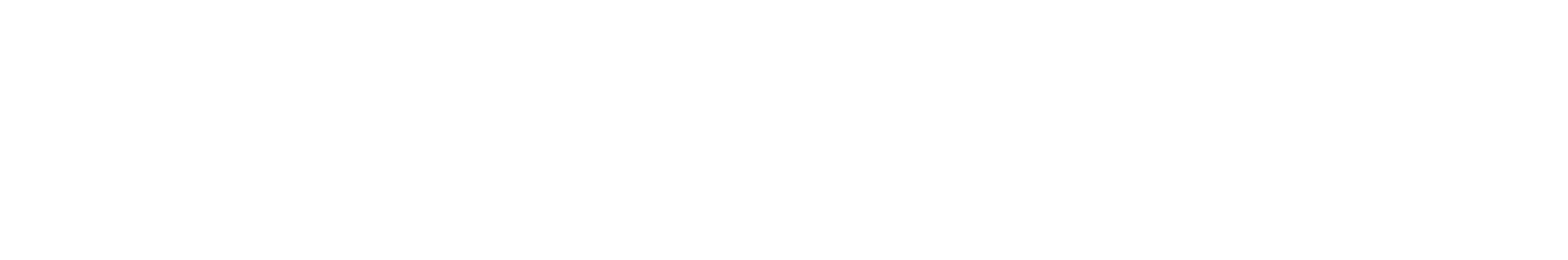 WitFlow